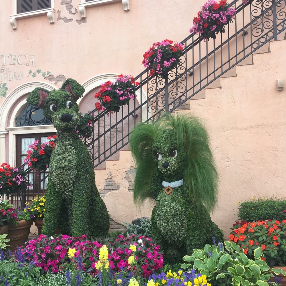 Meet your Posher, Yeltsy